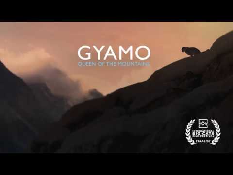 video phone beyonce mp3 Gyamo: Queen of the Mountains