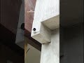 cctv installation hik vision CCTV camera