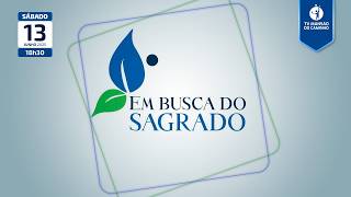 Em Busca do Sagrado | 205 • Conquistas Evolutivas
