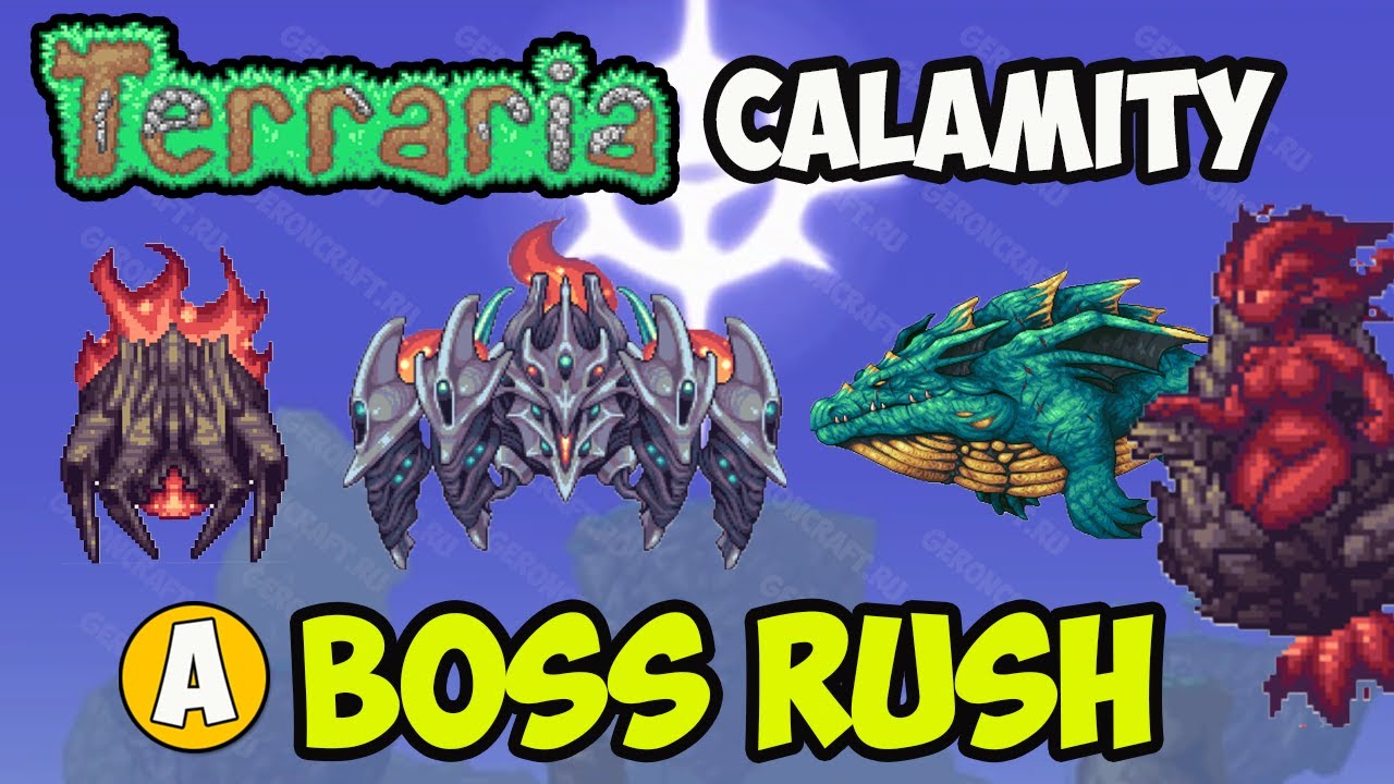 It's my first playthrough of Calamity and I just beat Boss Rush! :  r/CalamityMod