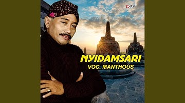 Nyidamsari