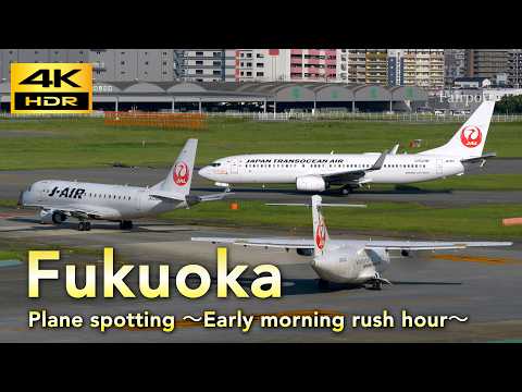[4K] Plane spotting Fukuoka airport Early morning rush hour / 福岡空港 早朝のラッシュアワー 2026/7/22