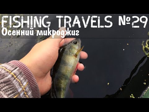 Fishing Travels №29 Осенний микроджиг