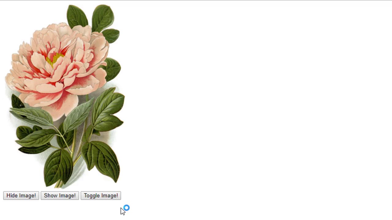 JQuery Effects - YouTube
