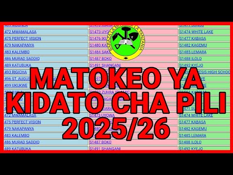 Necta 2025 Form Two FTNA Exam Results 