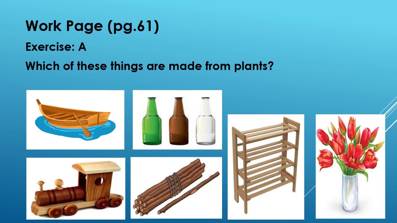 Class 2, video 2, Social Studies,Plants around Us YouTube