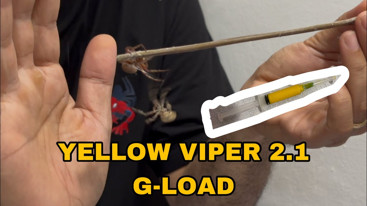 G LOAD, EFFECTIVE BA? - YouTube
