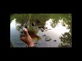 Gravois Creek Fishing Part 2