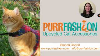 Purrfashion - Union Bank Startup Pitch Competition