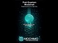 Help Us Test the New Mochimo Mobile Wallet!