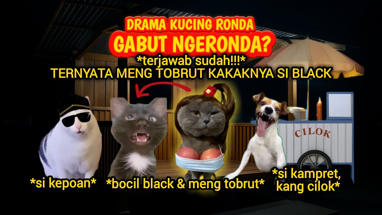 DRAMA KUCING RONDA : TERNYATA SI MENG TOBRUT⁉️ 