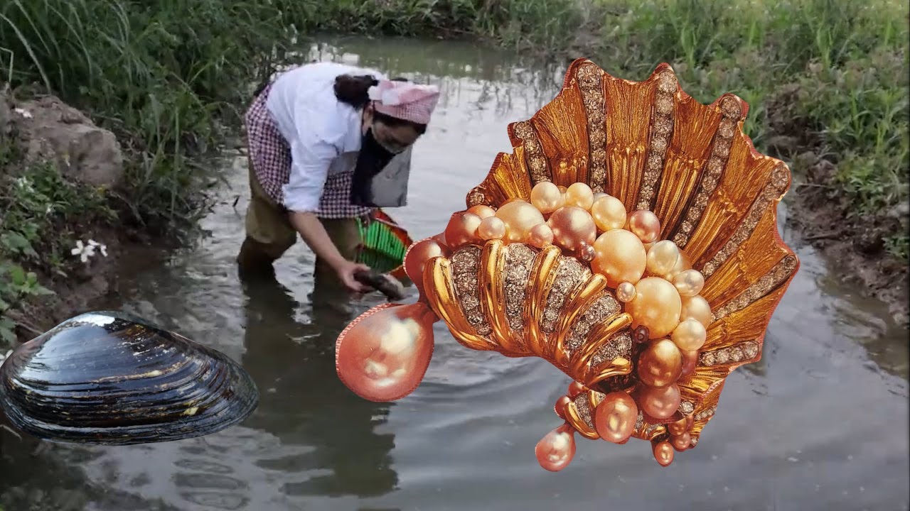 I came here to collect pearls for sale, and the harvest was indeed very satisfactory