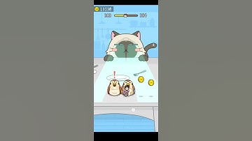 Girl Running With Music LVL-383 Hide and Seek: Cat Escape! 😹#shorts