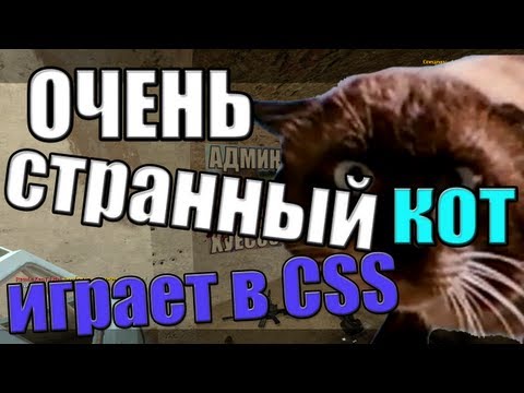 Ну Очень Странный Кот Играет В Ксс