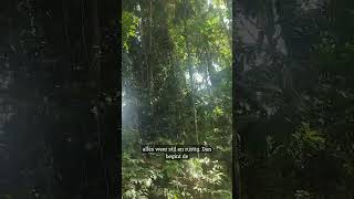 Hoe Laat Is Het? Bioloog Maarten Neemt Je Mee In De Jungle Van Costa Rica -Vlog 5 Adopteer Regenwoud