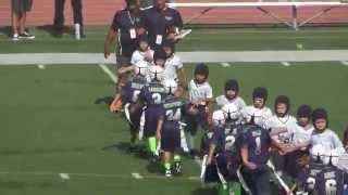 20140927 (G4) - Nighthawks vs. Temecula (Flag) 3 of 54 (Handshake)