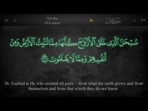 055 Surah Ar Rahman - Abdullah Humeid (iRecite)