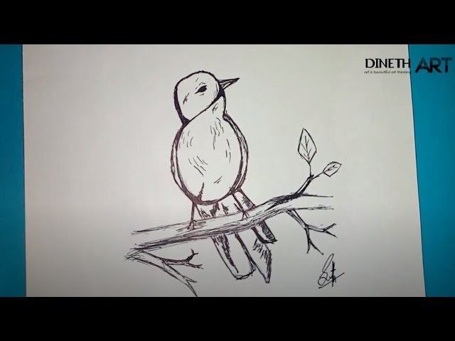 Simple drawings | D I N E T H  _  A I R T   |   @ dineth nedusha class=