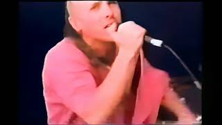 Celebrity Tool -  Sober - Live Music Video (4K/2160P Rerender) Wealth