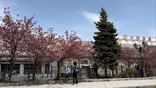 Japan Hokkaido Otaru Driving From Ironai To Shinko