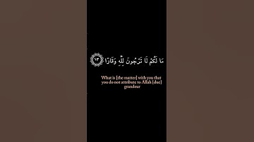 كروما قرآن كريم 🌿الشيخ عبد الرحمان مسعد🌿{مَا لَكُمْ لَا تَرْجُونَ لِلَّهِ وَقَارًا} #قرآن #الله