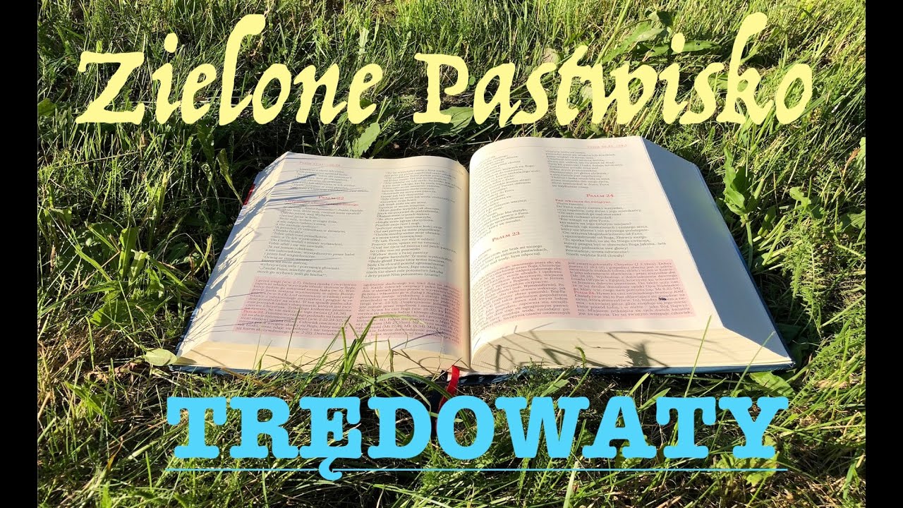 Zielone Pastwisko 15.01.2026 „TRĘDOWATY” - Mk 1, 40-45 - o. Piotr Kleszcz OFMConv.