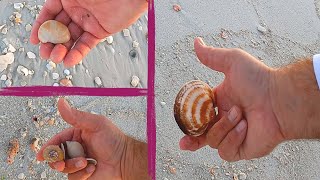 I SHELLED Navarre Beach Florida and Here s What I Found