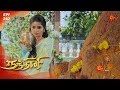 Nandhini    episode 340  sun tv serial  super hit tamil serial