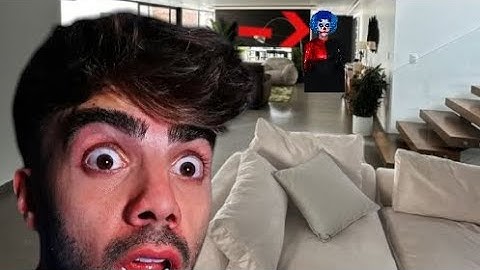 LLEGARON 3 LULIS A MI CASA !