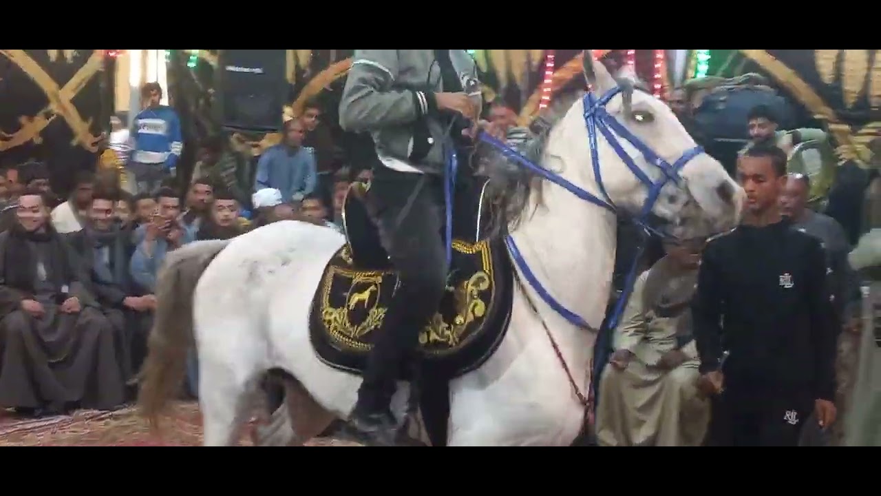 ٦ فبراير ٢٠٢٦