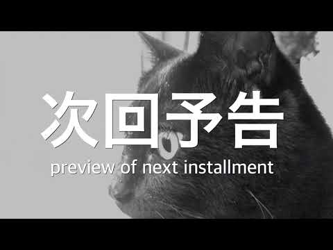 猫、ジャンプに失敗⁈と、次回予告 cat jump fail