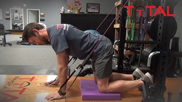Quadruped Cervical Rotation with resisted shoulder flexion