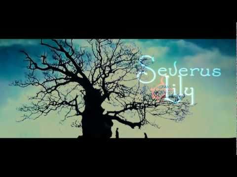 ● i was wrong . . . ϟ severus&lily. (HP7.2) ✂SPOILERS