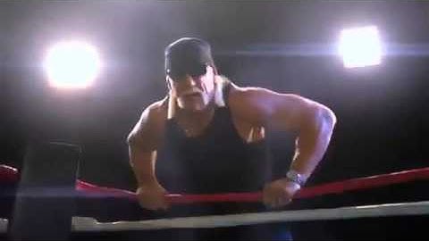 Hulk Hogan