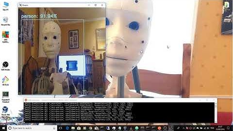 Intel Movidius realtime object detection   Raspberry Pi 3