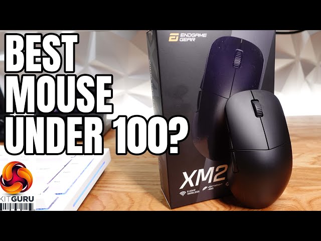 Endgame Gear XM2we Wireless Gaming Mouse Review - A Lightweight Wonder