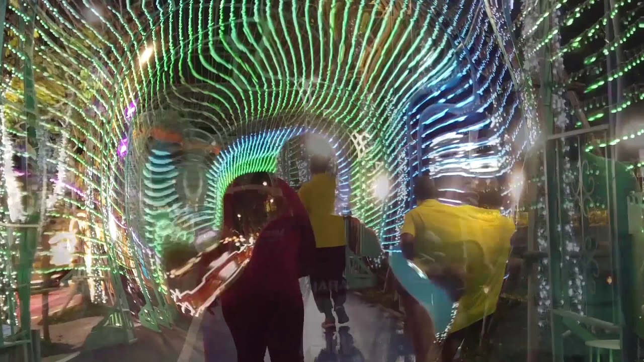 DJI OSMO POCKET : 4K 60 FPS : speed , slow , reverse