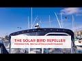 The solar bird repeller  preparation installation troubleshooting  maintenance  bird b gone