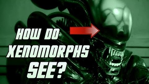 How Do Xenomorphs See? - Explained
