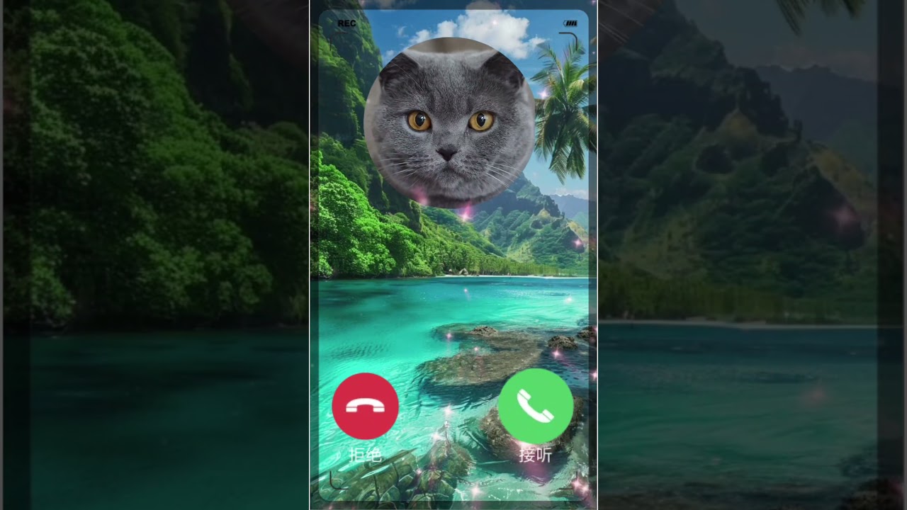 New 2025 Effect cute cat calling Ringtone 