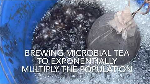 Biochar Inoculation with Microbial Tea