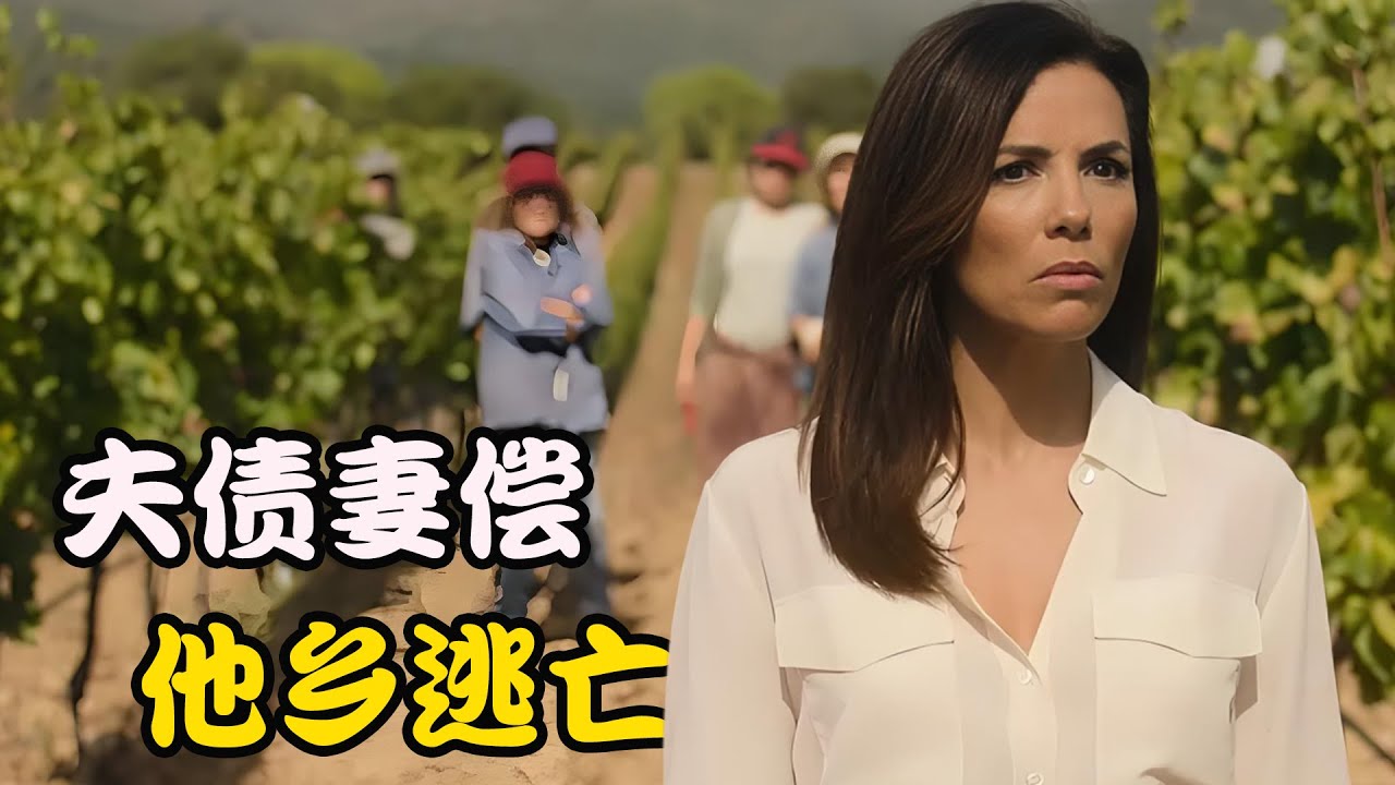 丈夫欠下巨额债务，却丢下妻女独自逃走，迫使妻子远走他乡躲避追杀，高分剧集 女人领地 