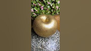 Trand Innovation in Fruit Farming