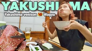Yakushima Island #2 Which is better, Yakushima venison or Wagyu beef? Japan vlog☆