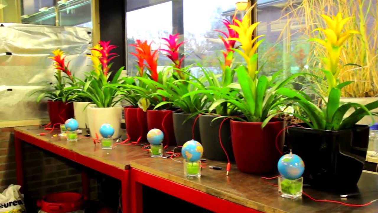 PlantE, innovatie grootschalige elektriciteitsproductie