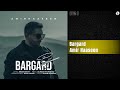 Amir Haaseen Bargard امیر حاسین برگرد 