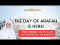 How To Make The Best Arafah Ever How To Make The Best Arafah Ever