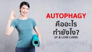 IF & Autophagy คืออะไร ดียังไง และทำยังไง?