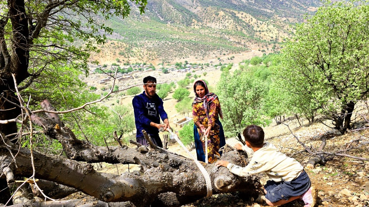 Nomadic life: Heavy rainy day, the challenge of collecting firewood in ...
