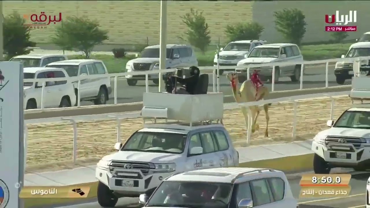 ملخص أشواط رموز مهرجان المؤسس 2023